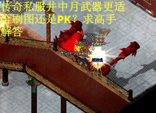 传奇私服井中月武器更适合刷图还是PK？求高手解答