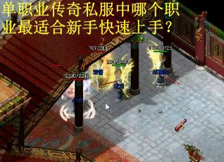 单职业传奇私服中哪个职业最适合新手快速上手？