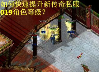 如何快速提升新传奇私服019角色等级？